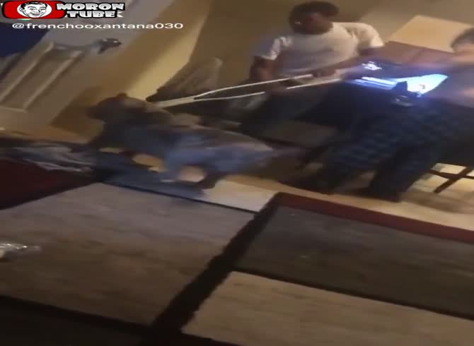 Video :That night, he nearly lost his manhood due to a pit bull attack